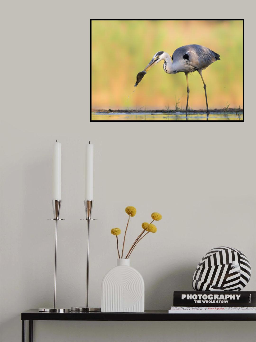 Morning Catch Poster och Canvastavla