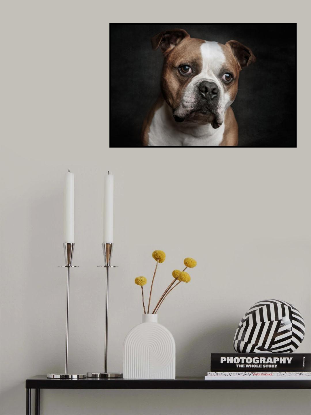 Hasi Poster och Canvastavla