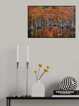 Quiet Cove Poster och Canvastavla