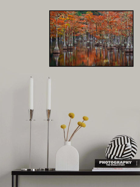 Quiet Cove Poster och Canvastavla