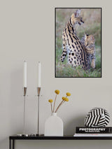 Mother &amp; Cub Poster och Canvastavla