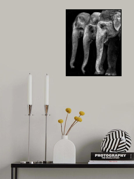 Nature\'s great masterpiece, an elephant; the only harmless great thing ... Poster och Canvastavla