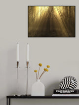 Autumn light. Poster och Canvastavla