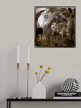 Hello my friends Poster och Canvastavla
