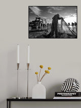 salt lives Poster och Canvastavla