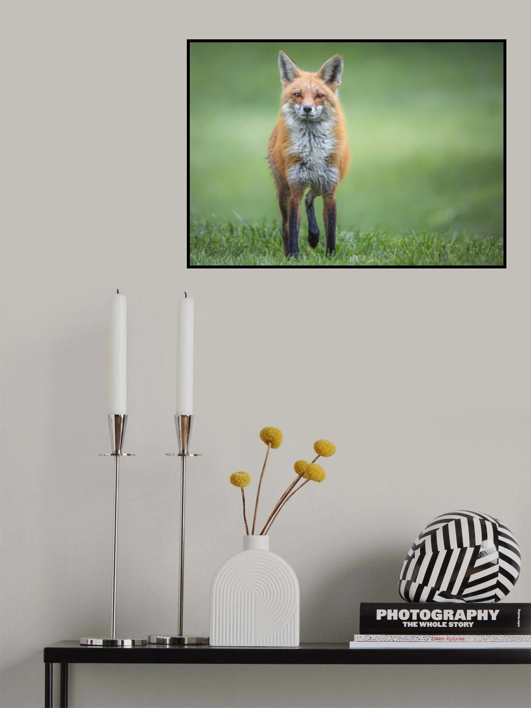 Eye Contact Poster och Canvastavla