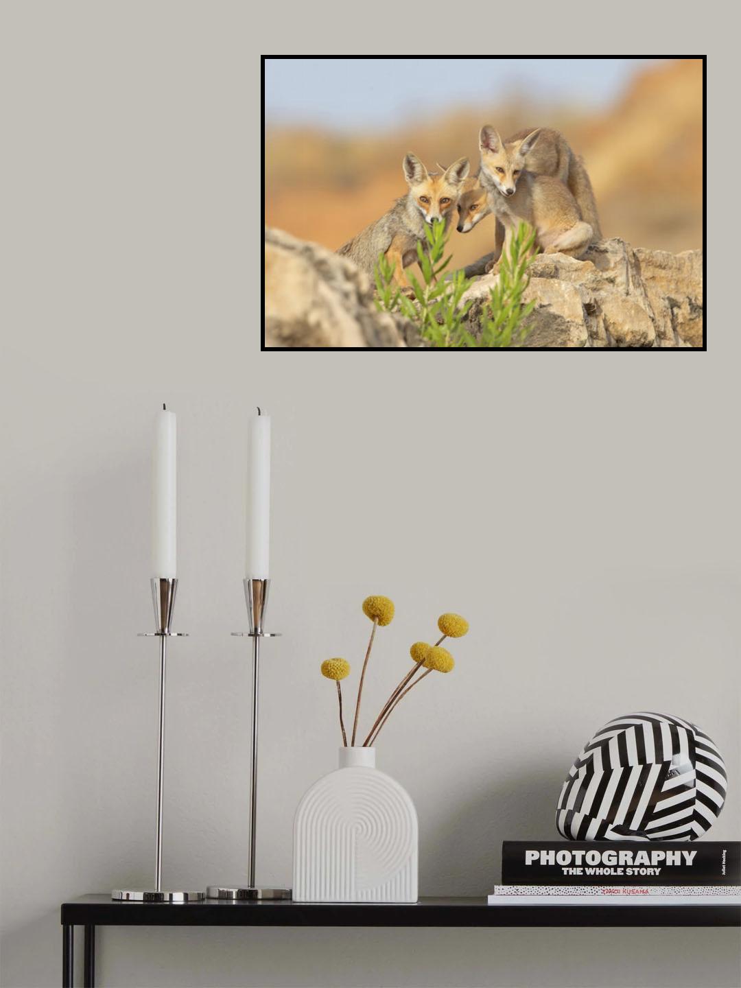 Fox family Poster och Canvastavla