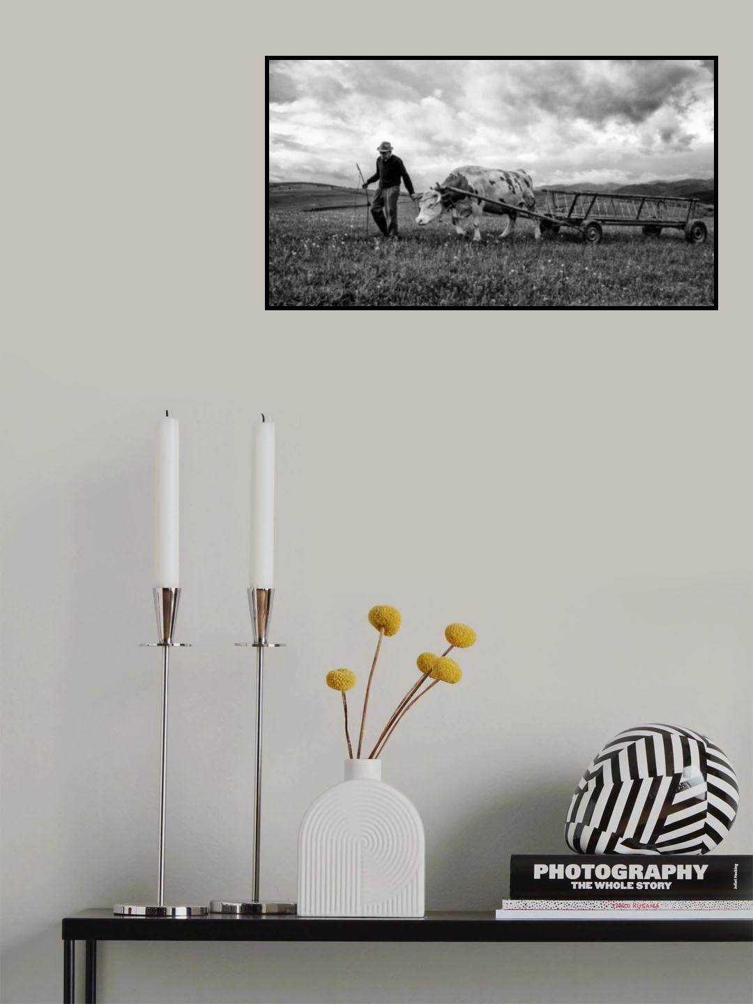 Bent spine Poster och Canvastavla