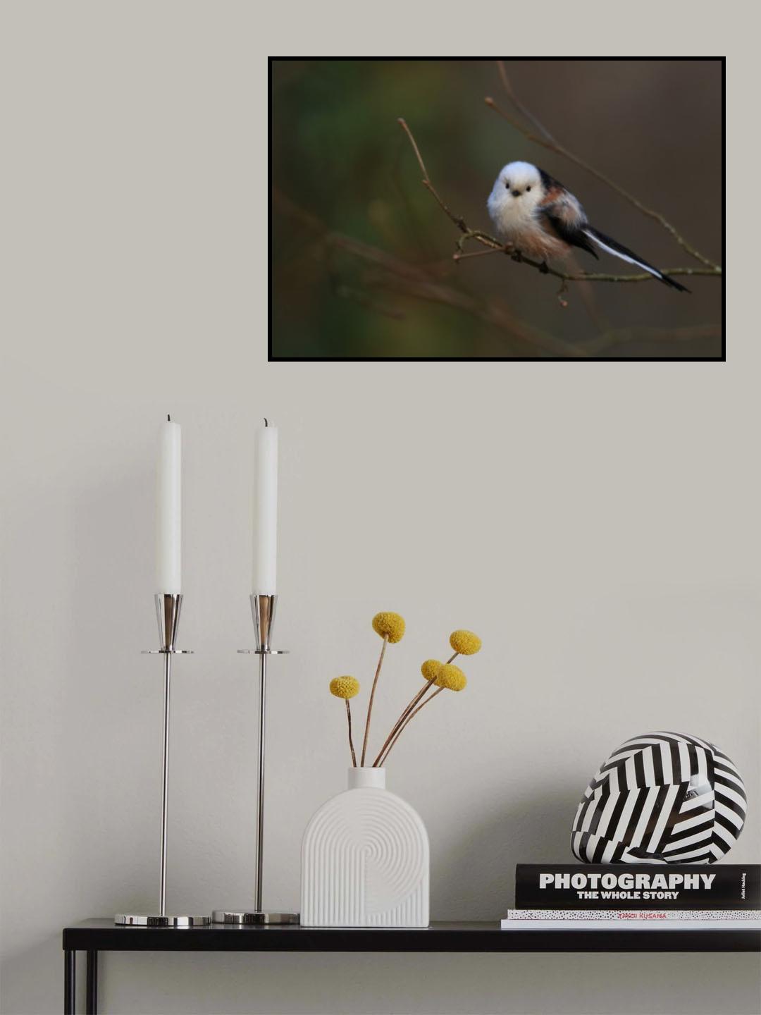 Long-tailed tit Poster och Canvastavla