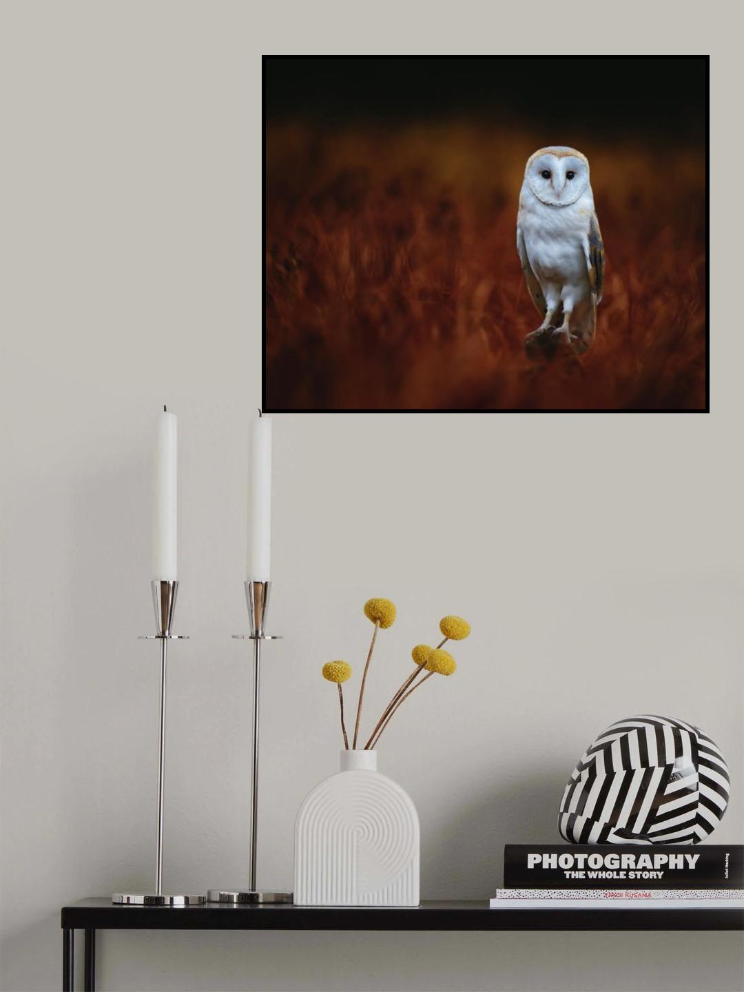 In the red meadow Poster och Canvastavla
