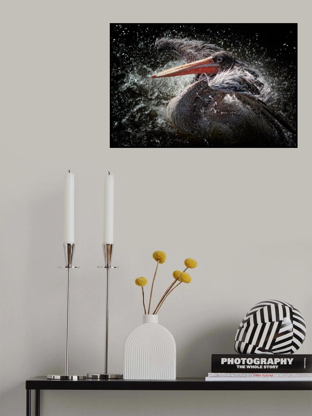 Splash Poster och Canvastavla