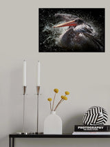 Splash Poster och Canvastavla