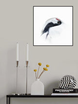 Red-crowned crane Poster och Canvastavla