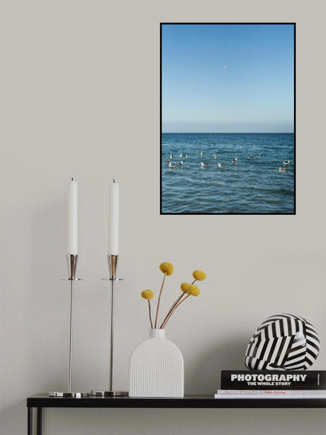 Sundaze Poster och Canvastavla
