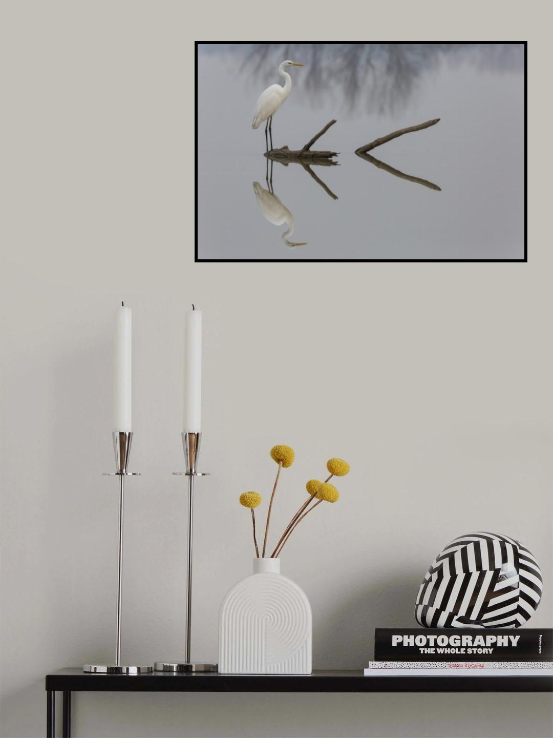 Reflections Poster och Canvastavla