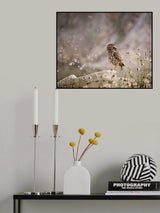 Owl and dandelion´s parachutes Poster och Canvastavla