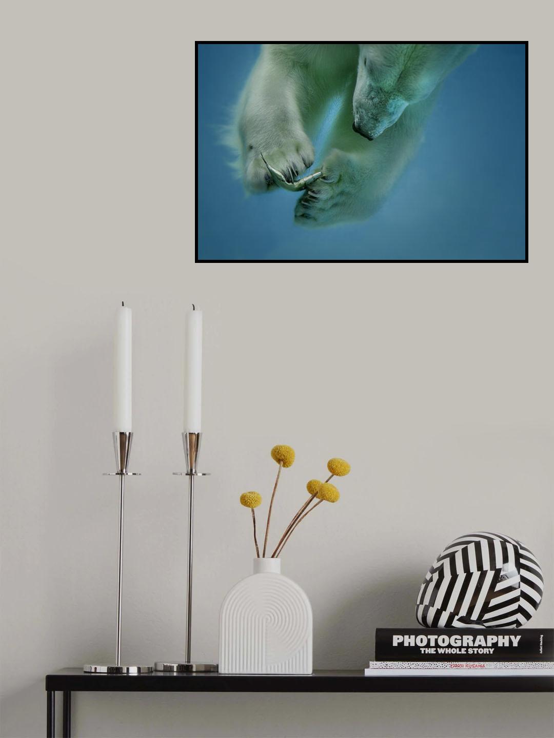 icebaer Poster och Canvastavla