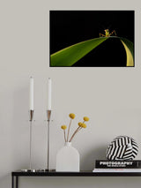 Colorful encounters at dawn Poster och Canvastavla