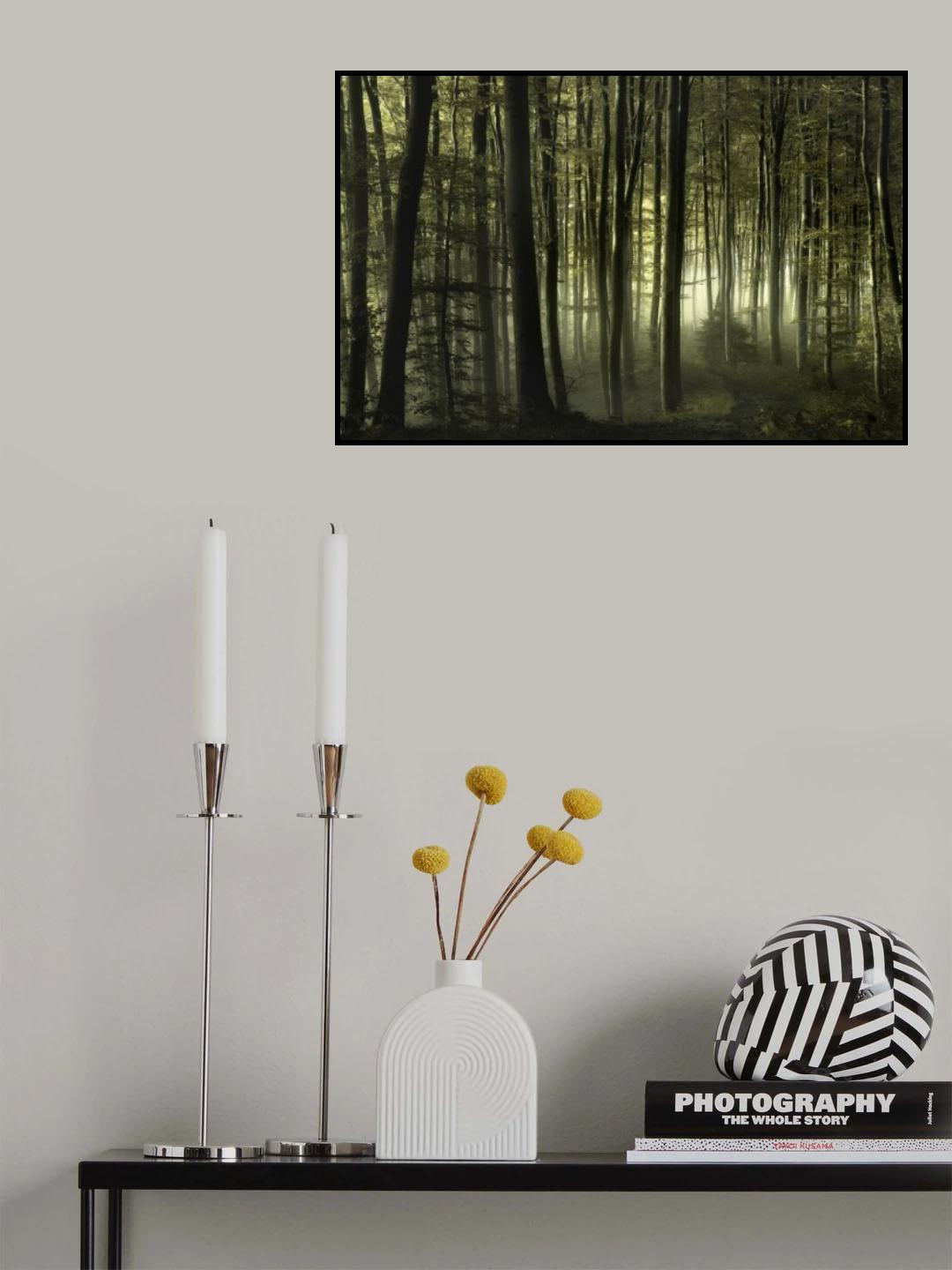 into the unknown Poster och Canvastavla