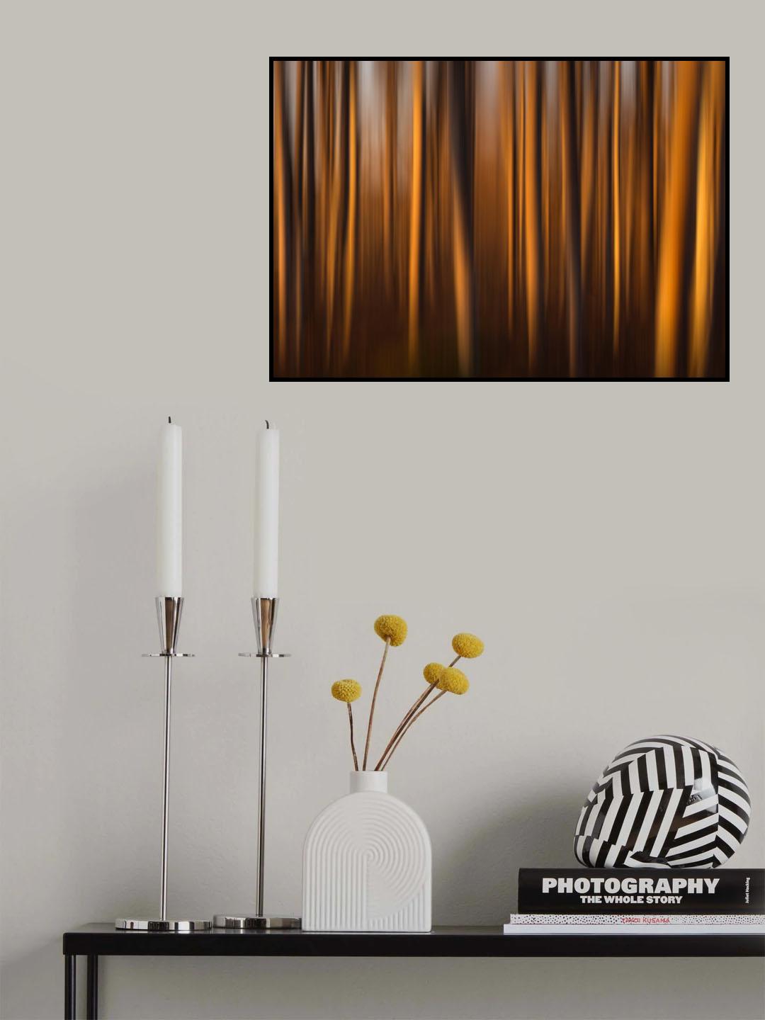 Trees kissed by light Poster och Canvastavla