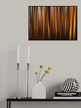 Trees kissed by light Poster och Canvastavla