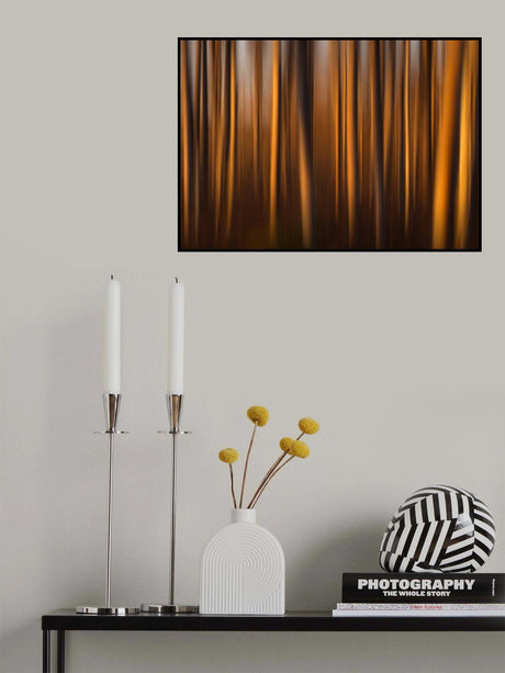 Trees kissed by light Poster och Canvastavla