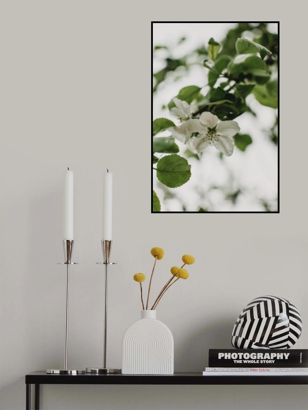 Spring Series - Apple Blossoms in the Rain 10/12 Poster och Canvastavla