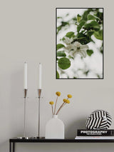 Spring Series - Apple Blossoms in the Rain 10/12 Poster och Canvastavla