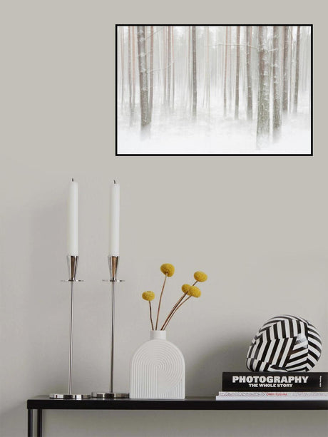 Winterforest in Sweden Poster och Canvastavla