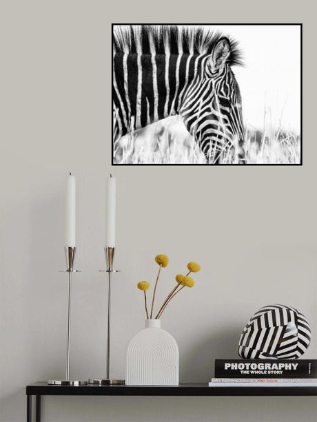 Fashionable black and white Poster och Canvastavla