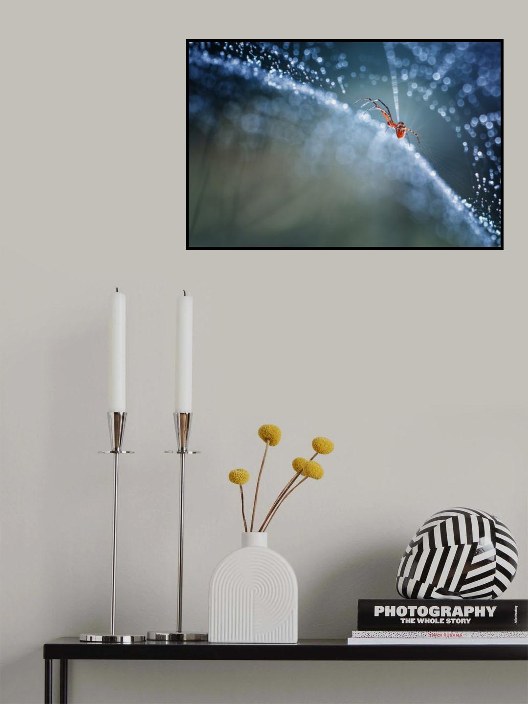 Red spider Poster och Canvastavla