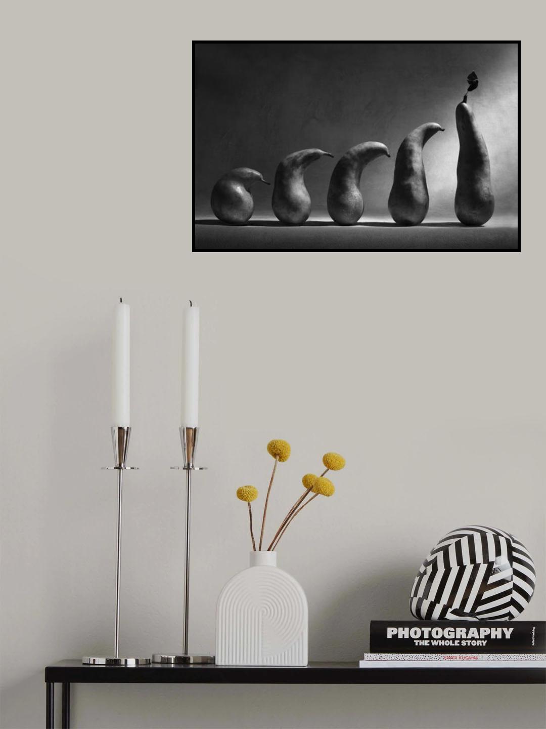 The evolution Poster och Canvastavla