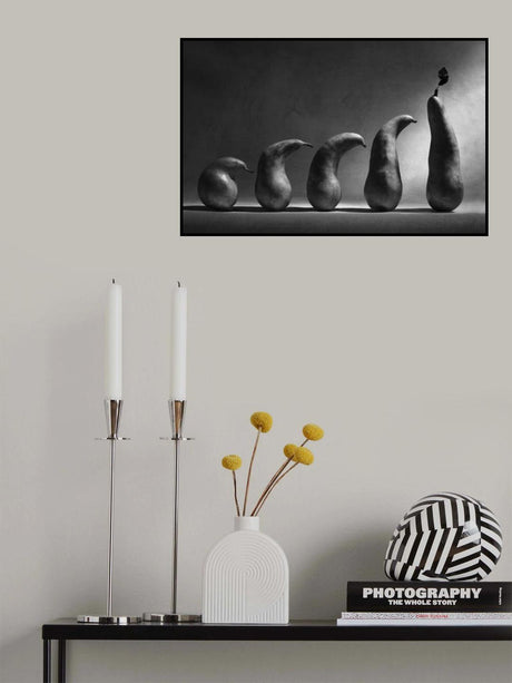 The evolution Poster och Canvastavla