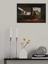 Date Harvest Season Poster och Canvastavla