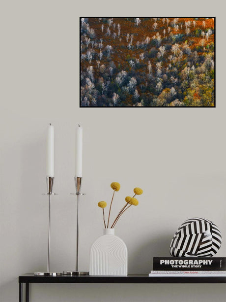 autunno Poster och Canvastavla