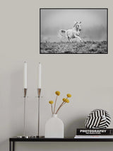 a short story about gallop Poster och Canvastavla