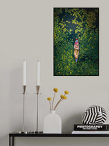 Beautiful rural life-harvesting white water lilies Poster och Canvastavla
