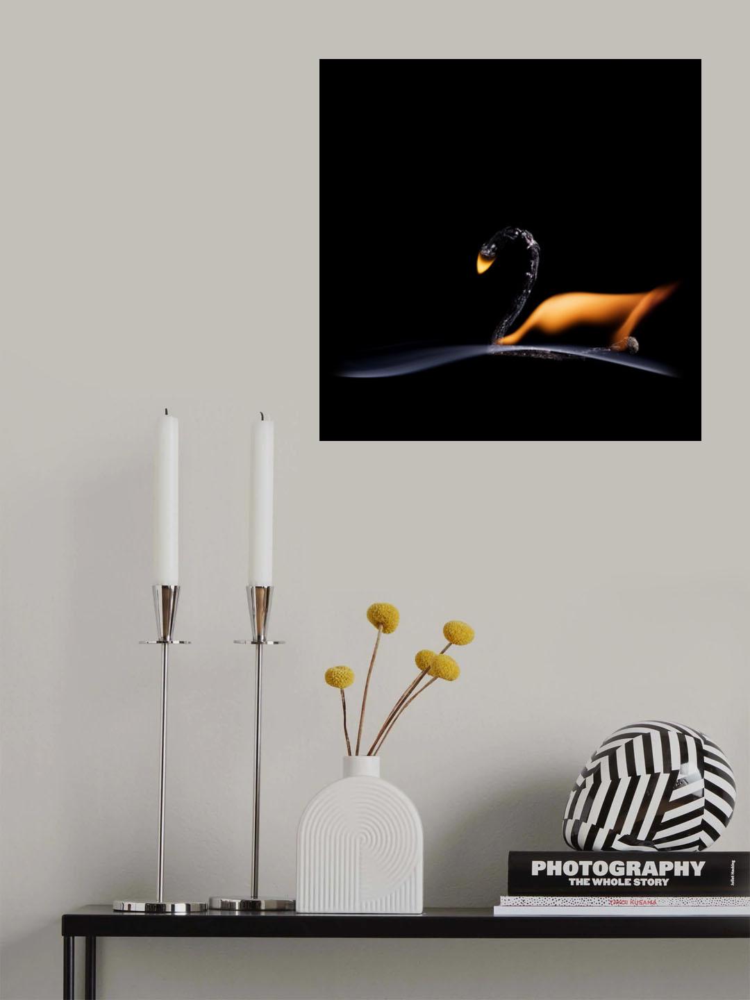 The Swan Poster och Canvastavla