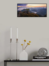 Tree on the Top Poster och Canvastavla