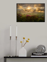 The Dreamland Poster och Canvastavla