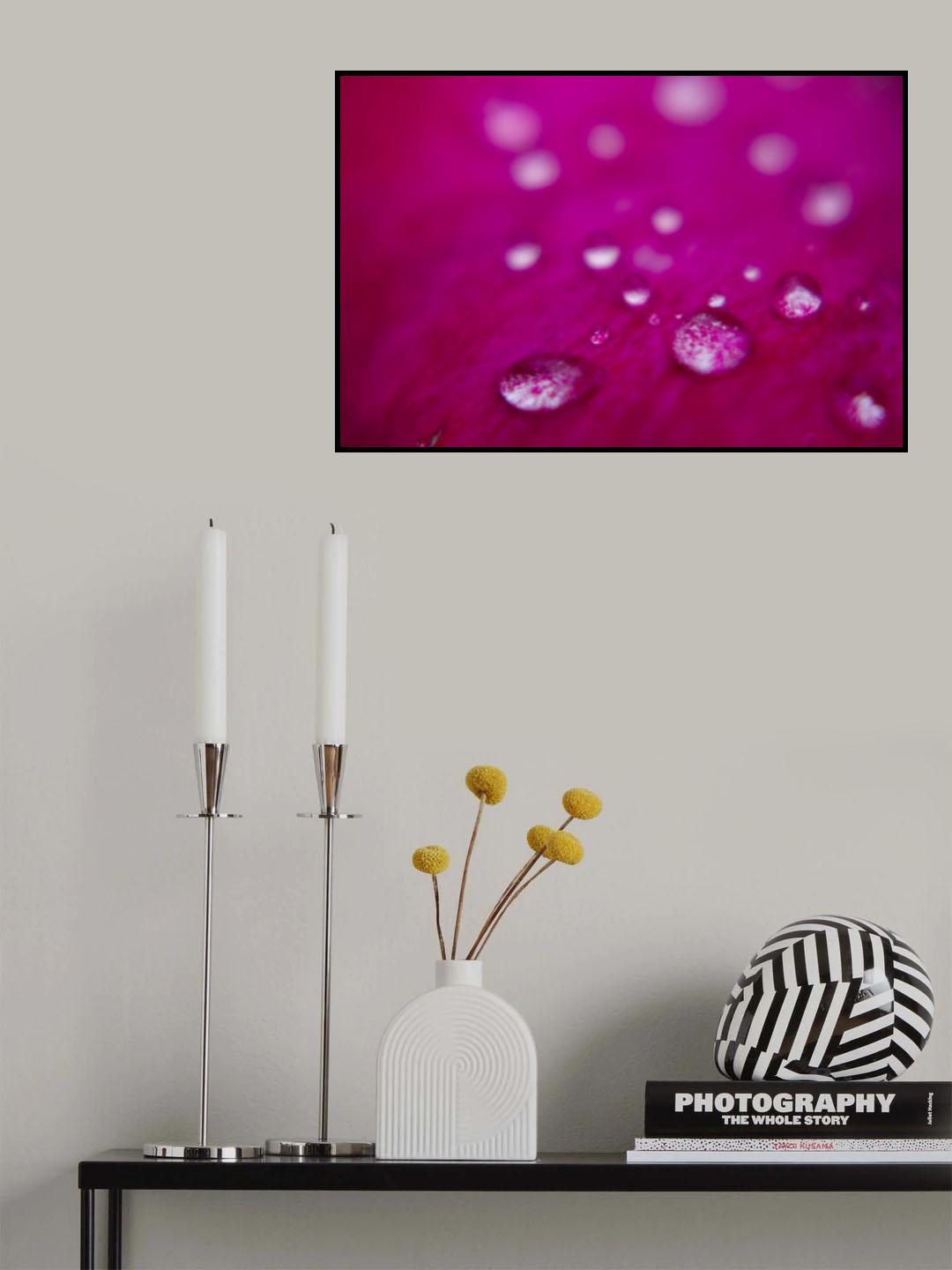 rose petals after the rain Poster och Canvastavla