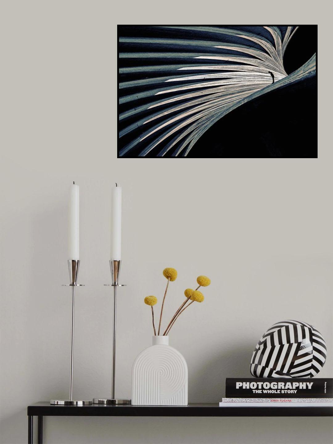 Cornisa Poster och Canvastavla