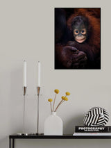 Baby Barney Poster och Canvastavla