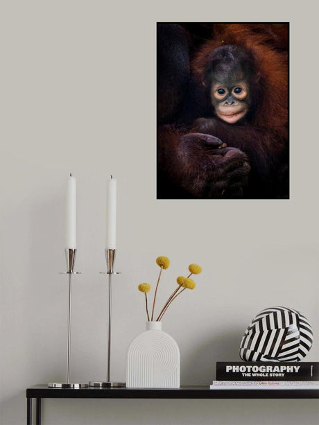 Baby Barney Poster och Canvastavla