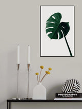Monstera Natural 07 Poster och Canvastavla
