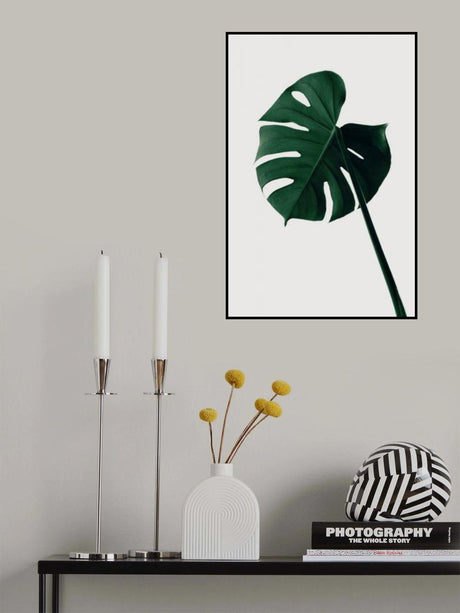 Monstera Natural 07 Poster och Canvastavla