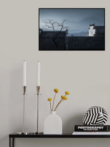 cat on the roof Poster och Canvastavla