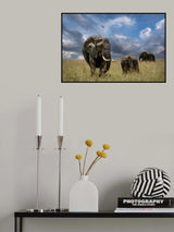 Family’s day out Poster och Canvastavla