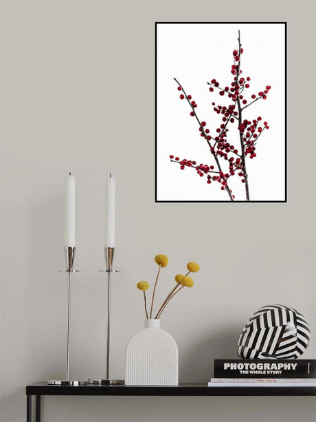 Red Berries 2 Poster och Canvastavla