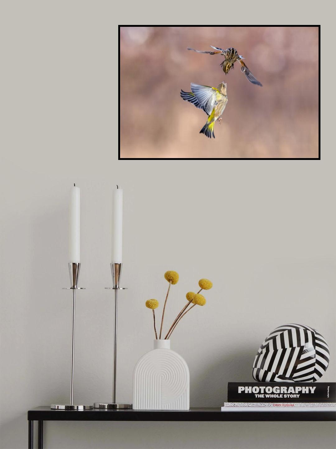 Battle between the bubbles Poster och Canvastavla